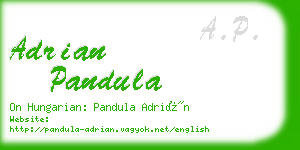 adrian pandula business card